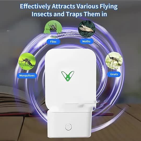 Flying Insect Trap Plug-In with UV Light & Sticky Boards – Indoor Mosquito Gnat Fly Catcher for Kitchen Bedroom Living Room, 10/20 Replaceable Glue Pads, Portable Pest Control