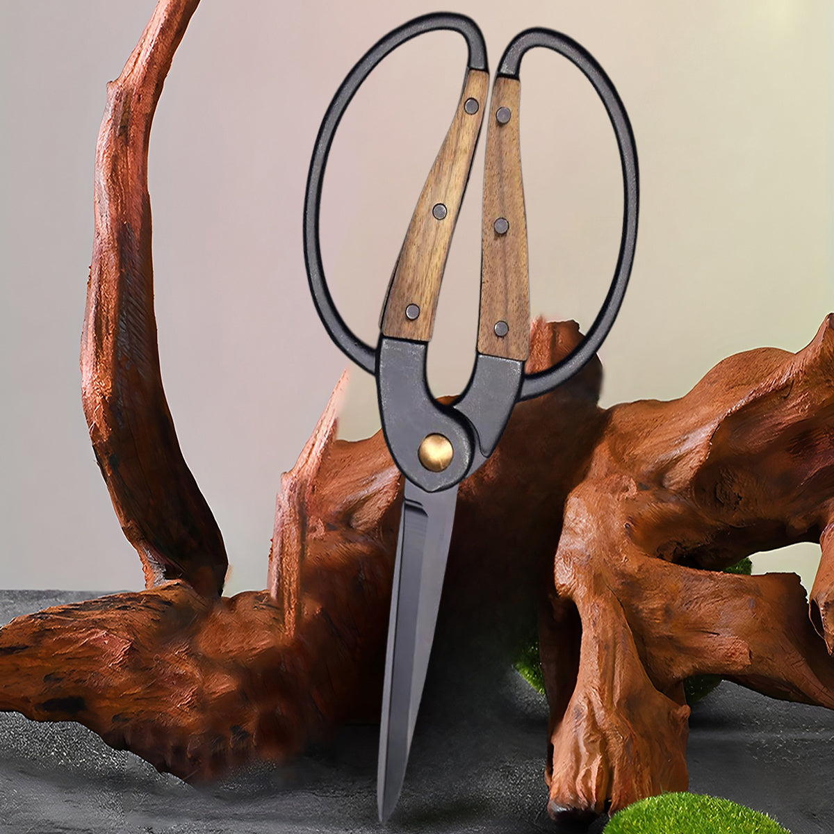 Garden Pruning Shears 2-Pack - High Carbon Steel Branch Cutter for Fruit Trees, Bonsai Plant Trimmer, Orchard Shrub Secateurs & Grafting Tool