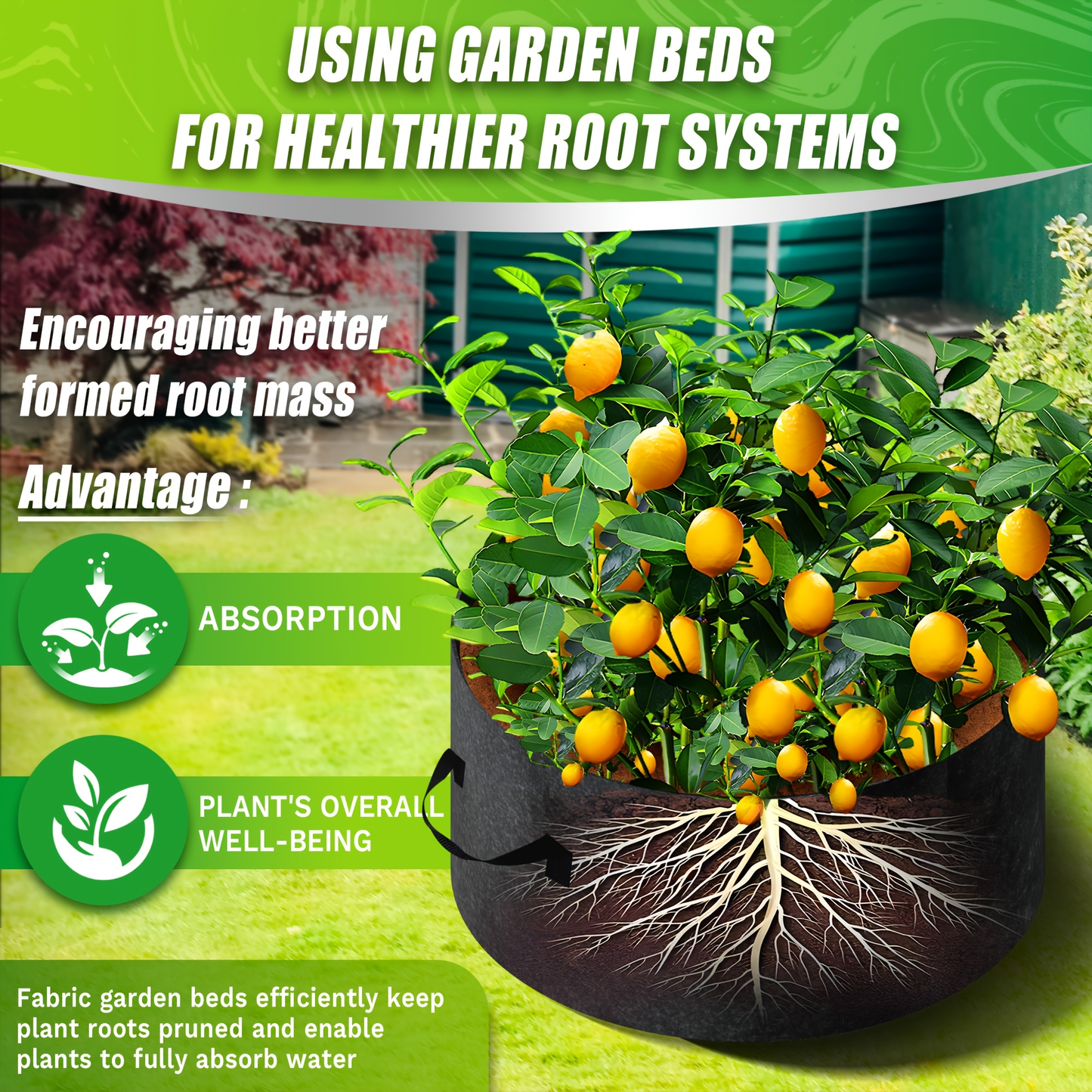 Fabric Grow Bag Round with Handle | Breathable Planter for Vegetables Potatoes Flowers | Indoor Outdoor Garden Bed 24 36 48 60 Inch Options