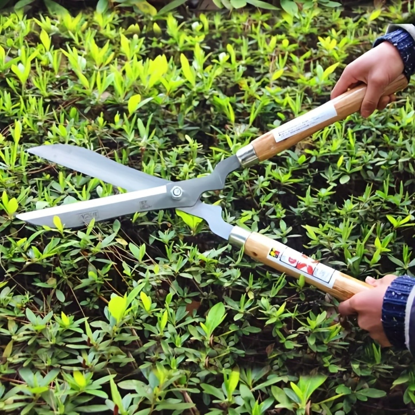 Hedge Shears 11-Inch Extra-Long Carbon Steel Blade, Heavy Duty Garden Scissors with Ergonomic Walnut Handle for Lawn Edging, Bushes, Hedges & Topiary Trimming