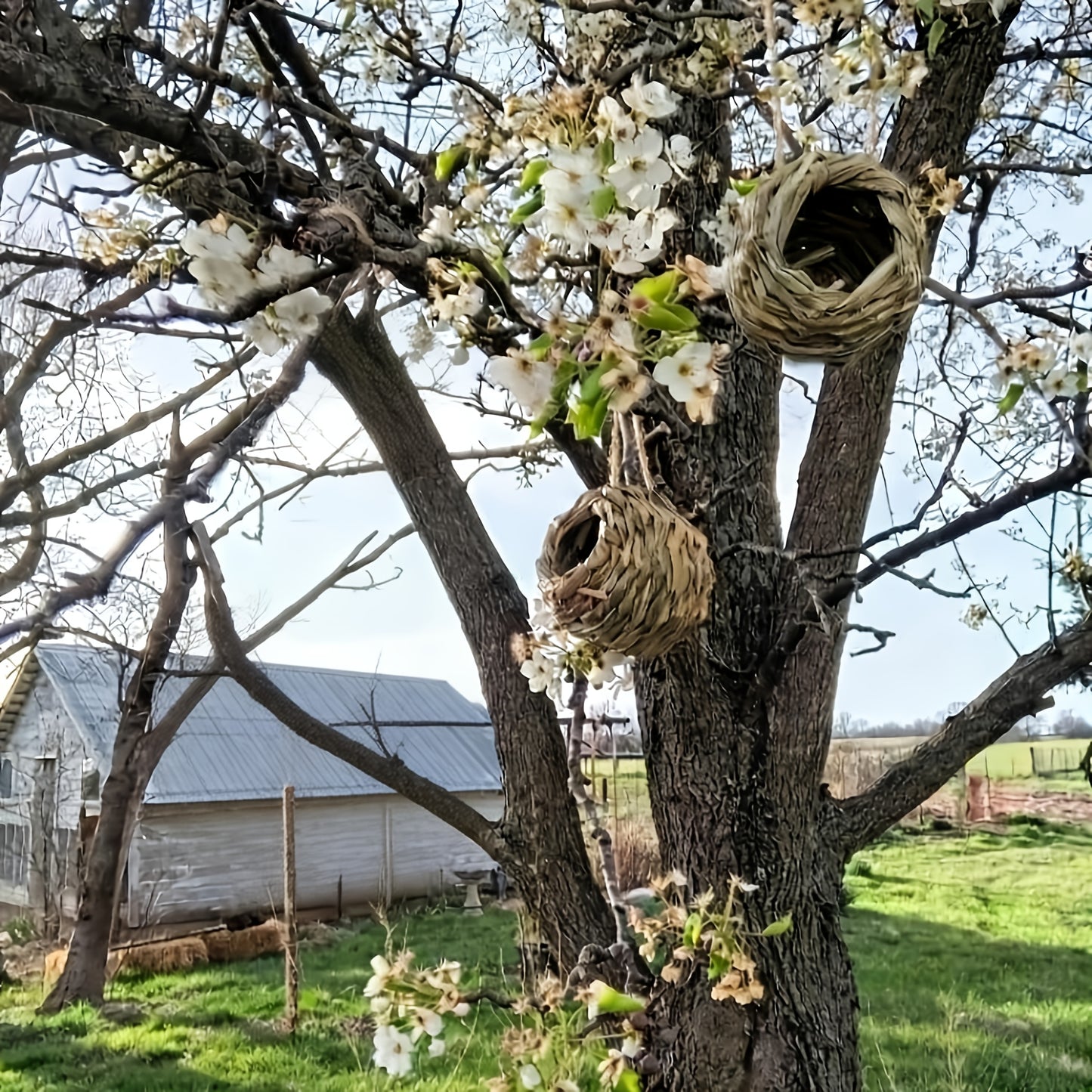 Hummingbird Nest House Handwoven Outdoor Garden Patio Bird Nest - Spherical Design Comfortable Nesting Shelter for Small Birds, Wildlife Habitat Decor