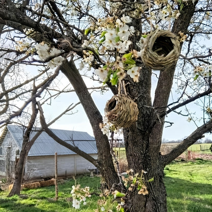 Hummingbird Nest House Handwoven Outdoor Garden Patio Bird Nest - Spherical Design Comfortable Nesting Shelter for Small Birds, Wildlife Habitat Decor