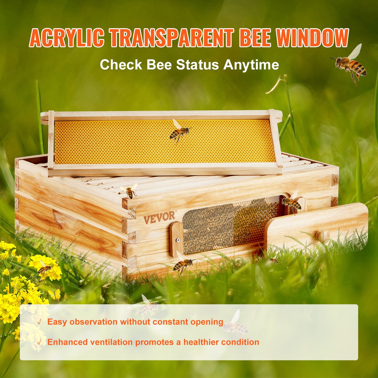 Beehive Kit 10 Frame Cedar Wood Bee Hive with Transparent Windows & Beeswax Coating