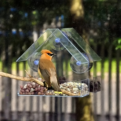 Bird Feeder Window Mount Clear Acrylic Seed Dispenser with Strong Suction Cups - Weatherproof All Season Outdoor Indoor Bird Watching Tray for Finches Sparrows Chickadees Songbirds Nature Lover Gift