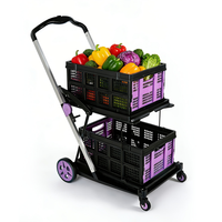 Purple with 2 Storage Crates