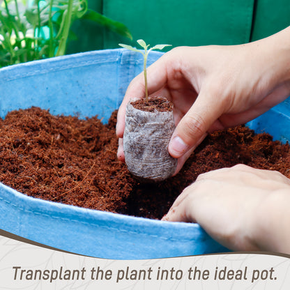 Peat Pellets Seed Starter 35mm Compressed | 50/100pcs Expandable Coir Discs for Seedlings Vegetables Flowers Herbs | Indoor Outdoor Seed Starting