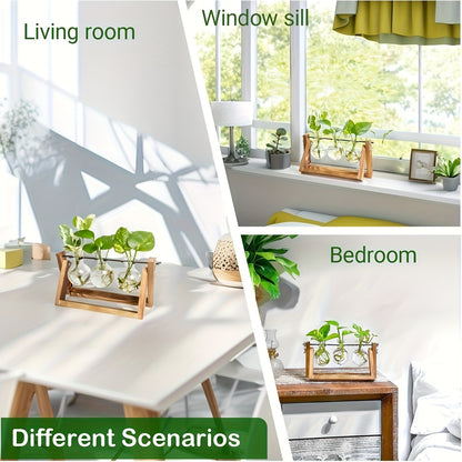 Propagation Station 3 Bulb Glass Vase with Wooden Stand - Hydroponic Plant Terrarium for Home Office Desk Decor, Unique Gardening Gift for Women Plant Lovers, Boho Cottagecore