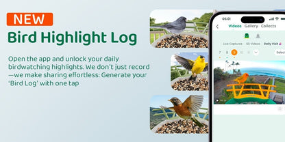 Smart Bird Feeder with Camera AI Bird Identification, 2K HD Live View, Auto Capture & Color Night Vision, Outdoor Wireless Bird Watching Gift for Bird Lovers, Green