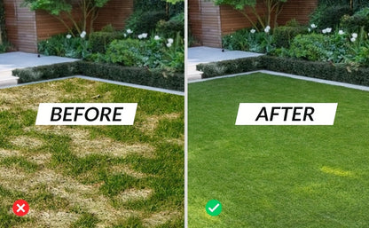 Lawn Aerator | Manual Core Aerating Tool Dethatching Compacted Soil
