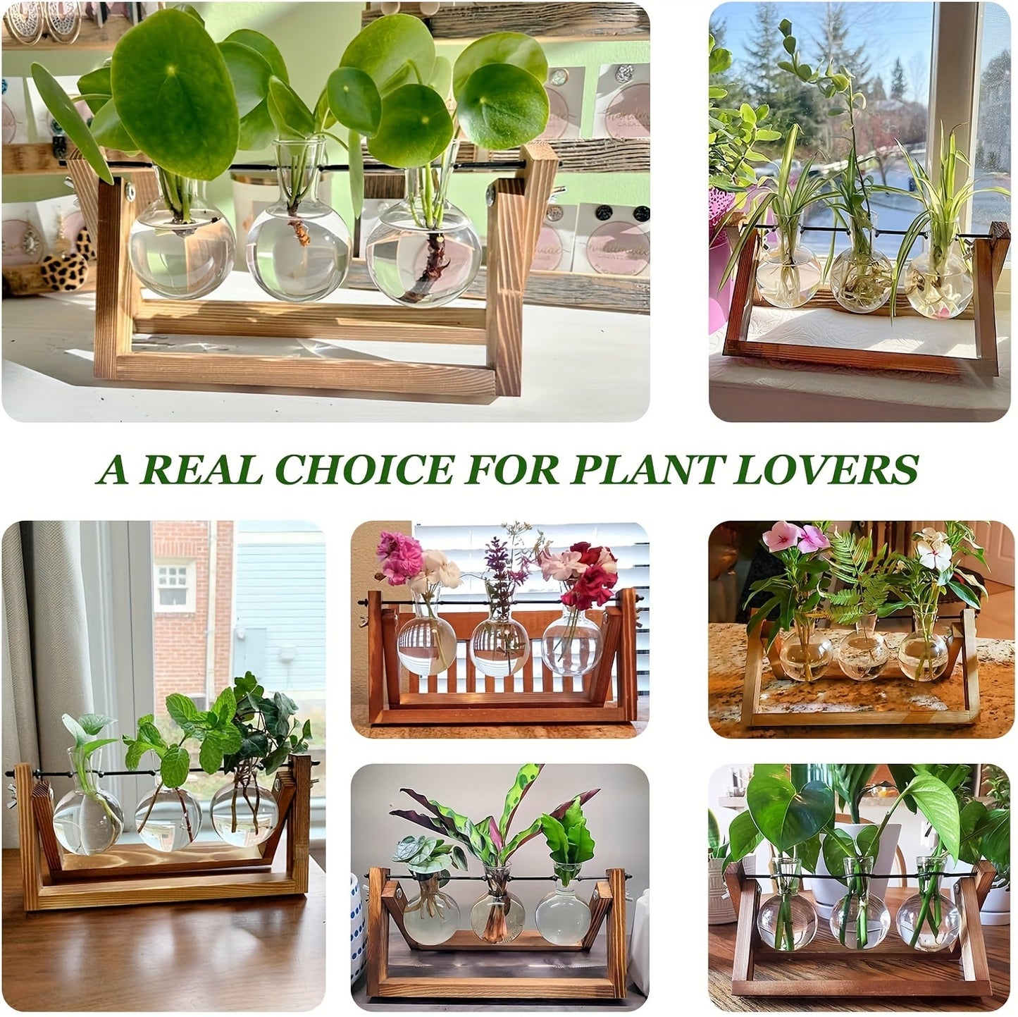Propagation Station 3 Bulb Glass Vase with Wooden Stand - Hydroponic Plant Terrarium for Home Office Desk Decor, Unique Gardening Gift for Women Plant Lovers, Boho Cottagecore