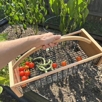 Garden Harvest Basket Metal Mesh with Wooden Handle – Rectangle Vegetable Fruit Picking Basket for Garden, Kitchen & Farmhouse Storage, Wash & Drain Design, Small & Large, Black