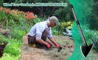 Garden Hoe Triangle Heavy Duty Carbon Steel with Adjustable 15–72 Inch Long Handle, Sharp Triangular Blade for Weeding, Digging, Soil Loosening and Edging