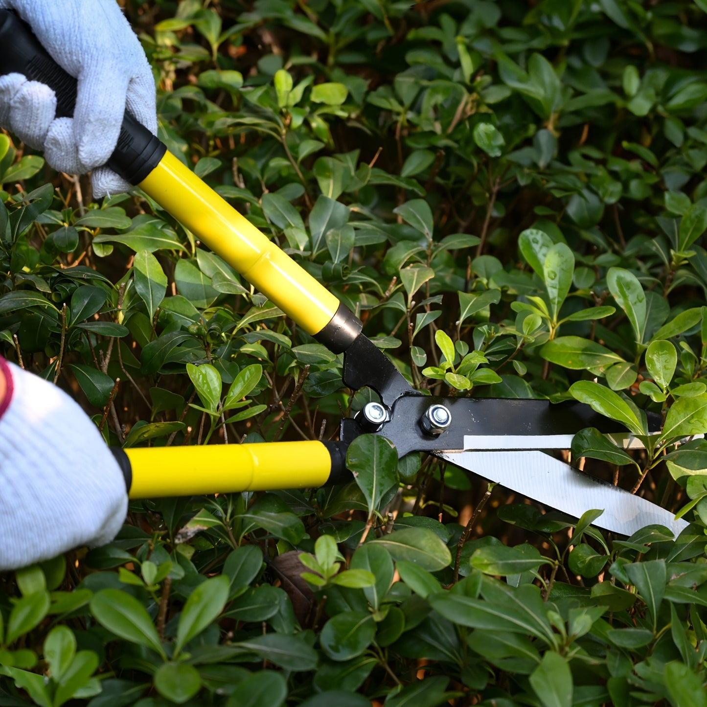 Long Reach Pruning Shears 18-38 Inch Extendable - Non-Stick Steel Blades Cut 2" Branches, Shock-Absorbing Handle, Heavy-Duty Hedge Shears for Tree & Shrub Trimming