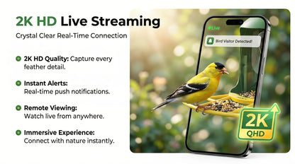 Smart Bird Feeder with Camera AI Bird Identification, 2K HD Live View, Auto Capture & Color Night Vision, Outdoor Wireless Bird Watching Gift for Bird Lovers, Green