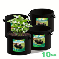 10 Gallons
