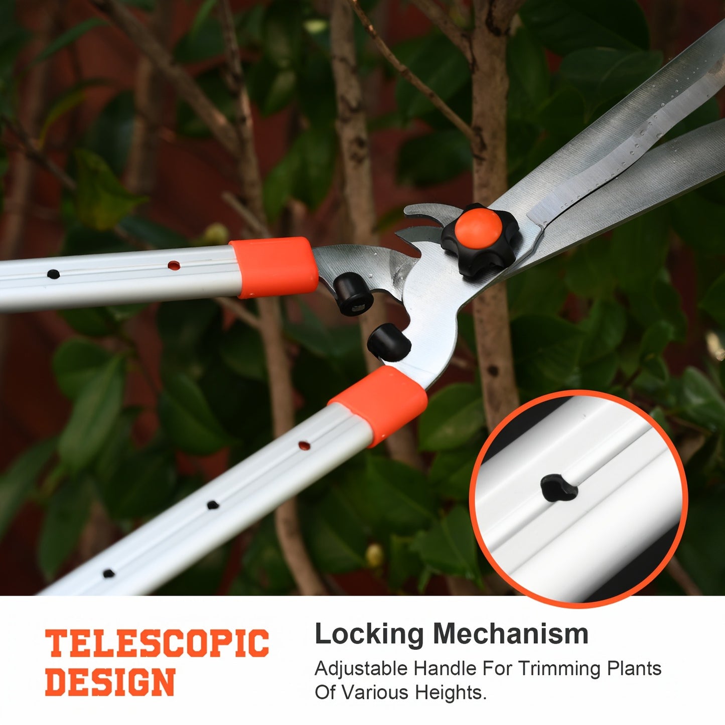 Long Reach Pruning Shears 18-38 Inch Extendable - Non-Stick Steel Blades Cut 2" Branches, Shock-Absorbing Handle, Heavy-Duty Hedge Shears for Tree & Shrub Trimming