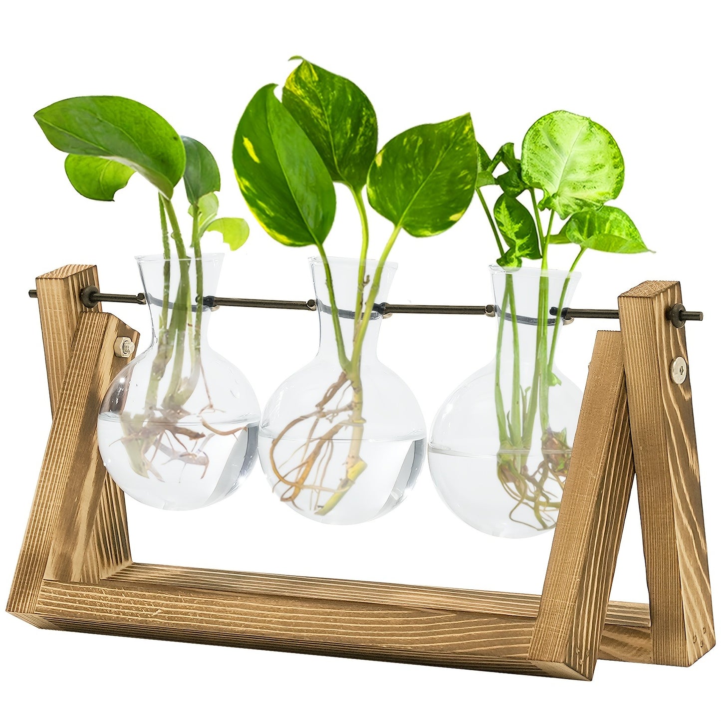 Glass Terrarium Heart Shaped Hydroponic Vase with Wooden Stand - Elegant Plant Propagation Station for Home Decor, Romantic Gift Idea for Women Plant Lovers, Boho Desk Decor