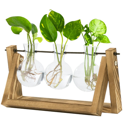 Glass Terrarium Heart Shaped Hydroponic Vase with Wooden Stand - Elegant Plant Propagation Station for Home Decor, Romantic Gift Idea for Women Plant Lovers, Boho Desk Decor