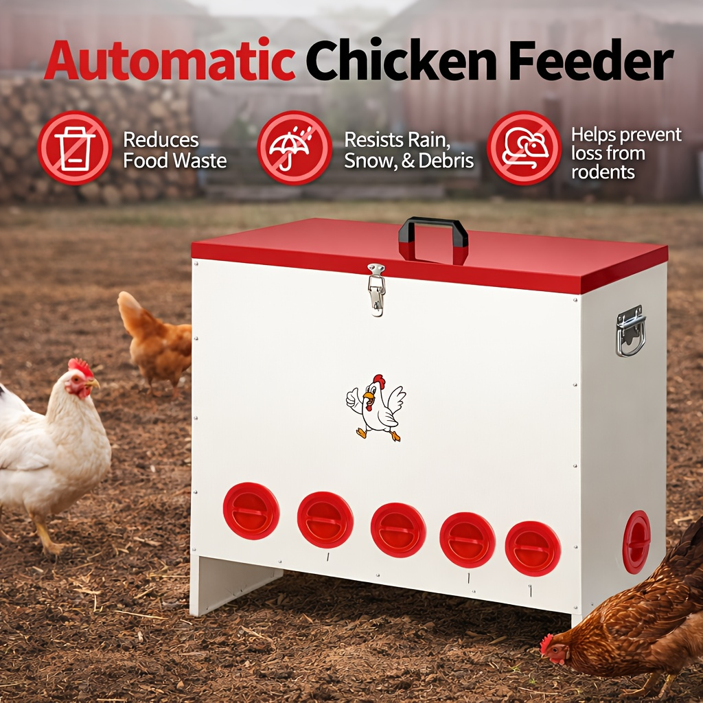Gravity Chicken Feeder Stainless Steel 6 or 10 Port Rat-Proof