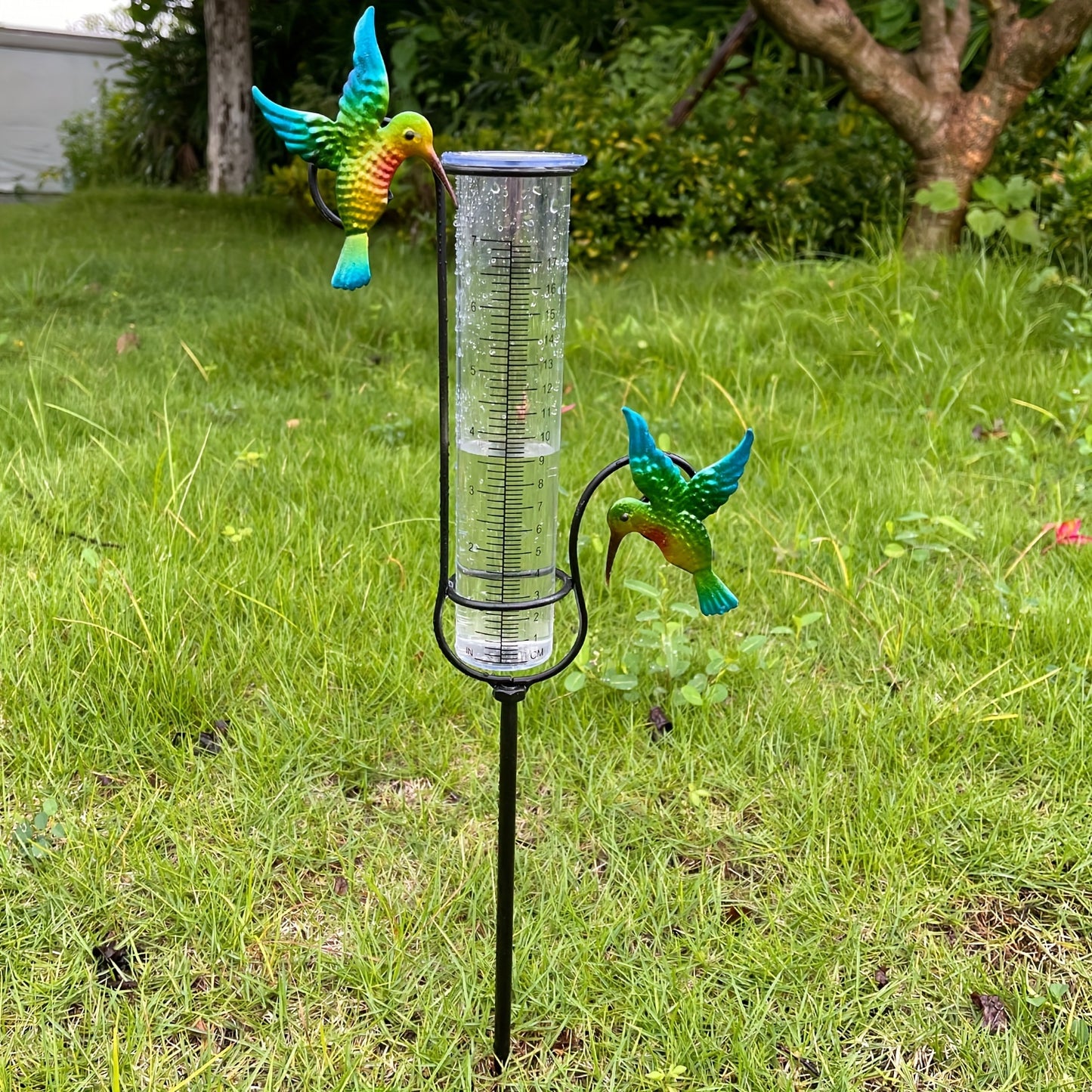 Rain Gauge | Hummingbird Garden Art Metal Frame Outdoor Yard Decor