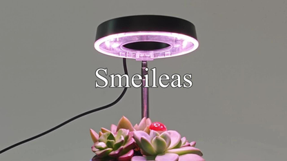 Magnetic Grow Light with 360° Adjustable Head – Full Spectrum Plant Growth Lamp with Auto Timer, 4-Level Dimmer & Adjustable Height for Indoor Herbs, Flowers & Seedlings, 2pc or 6pc