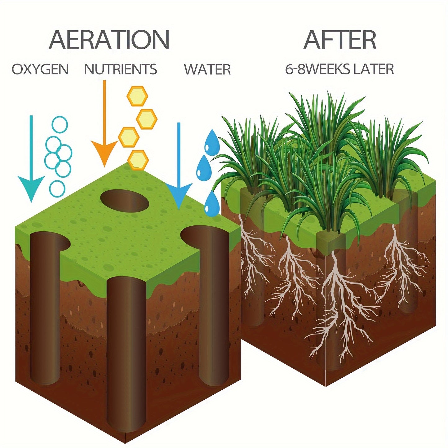 Lawn Aerator | Manual Core Aerating Tool Dethatching Compacted Soil