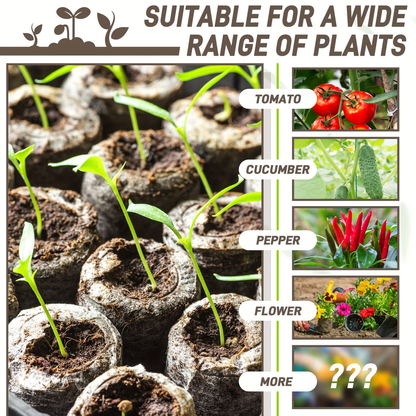 Peat Pellets Seed Starter 35mm Compressed | 50/100pcs Expandable Coir Discs for Seedlings Vegetables Flowers Herbs | Indoor Outdoor Seed Starting