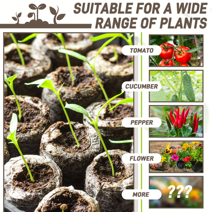Peat Pellets Seed Starter 35mm Compressed | 50/100pcs Expandable Coir Discs for Seedlings Vegetables Flowers Herbs | Indoor Outdoor Seed Starting