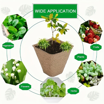 Peat Pots Seed Starter 100pcs Square Biodegradable Paper | Germination Trays with Peat Substrate for Herbs Cacti Flowers | Indoor Outdoor Transplanting