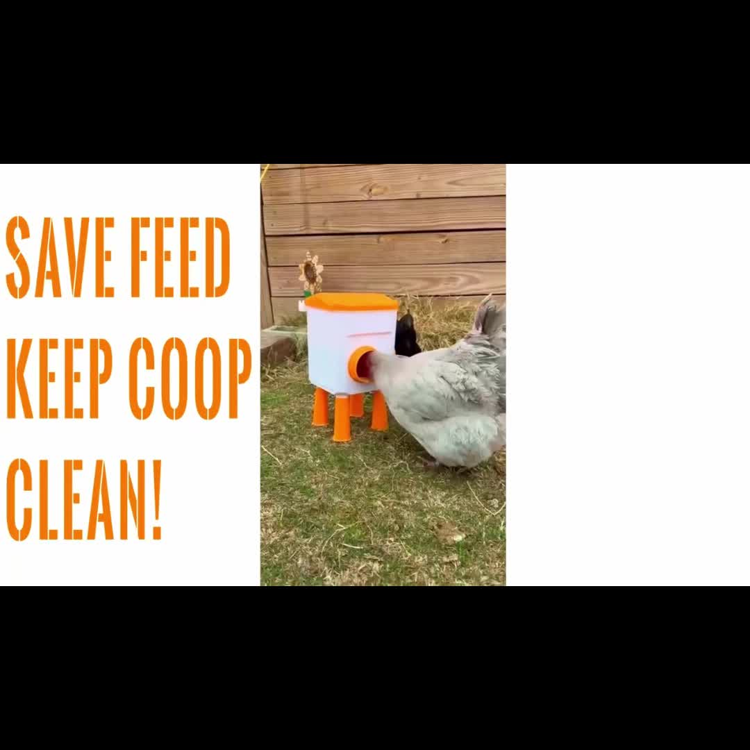 Automatic Chicken Waterer Float Ball 2 3 Gallon Feeder Combo Set