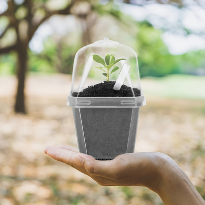 Clear Nursery Pots 3 Inch with Humidity Dome Lids 30pcs | Stackable Seed Starter Pots | Built-In Labels | Succulents Seedlings Cuttings Propagation