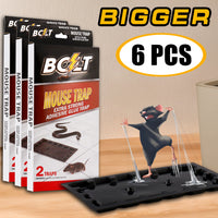 Bigger Rat Trays (6 Pcs)