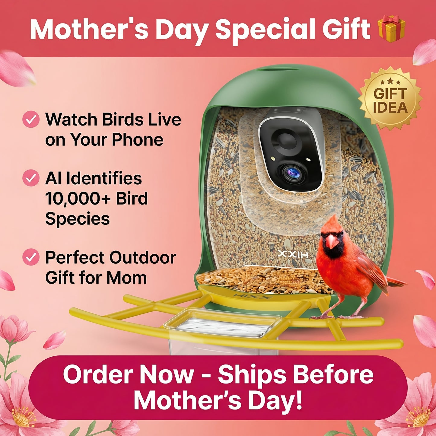 Smart Bird Feeder with Camera AI Bird Identification, 2K HD Live View, Auto Capture & Color Night Vision, Outdoor Wireless Bird Watching Gift for Bird Lovers, Green