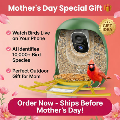Smart Bird Feeder with Camera AI Bird Identification, 2K HD Live View, Auto Capture & Color Night Vision, Outdoor Wireless Bird Watching Gift for Bird Lovers, Green