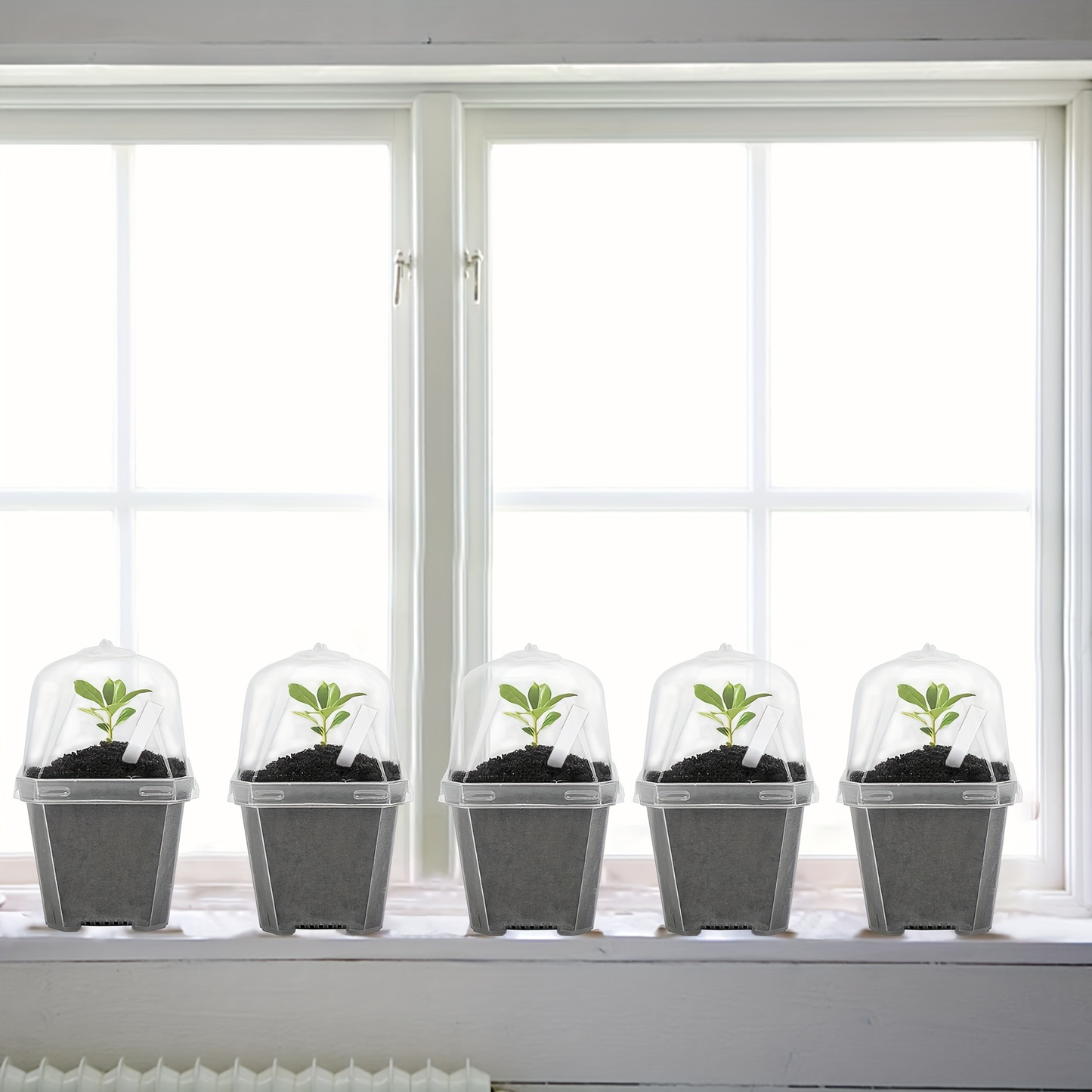 Clear Nursery Pots 3 Inch with Humidity Dome Lids 30pcs | Stackable Seed Starter Pots | Built-In Labels | Succulents Seedlings Cuttings Propagation