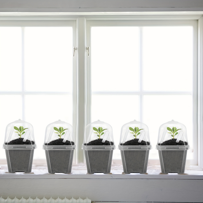 Clear Nursery Pots 3 Inch with Humidity Dome Lids 30pcs | Stackable Seed Starter Pots | Built-In Labels | Succulents Seedlings Cuttings Propagation
