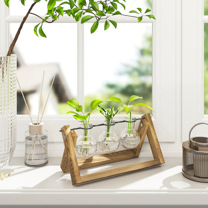 Glass Terrarium Heart Shaped Hydroponic Vase with Wooden Stand - Elegant Plant Propagation Station for Home Decor, Romantic Gift Idea for Women Plant Lovers, Boho Desk Decor