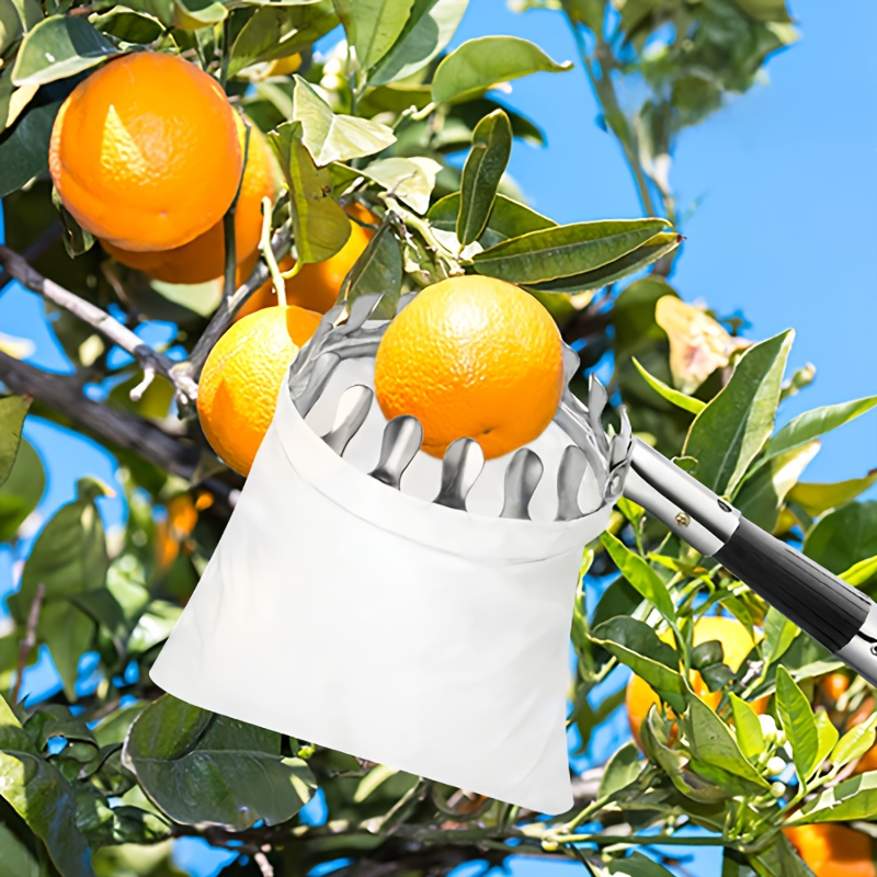 Fruit Picker Stainless Steel Adjustable Extension Pole - Tall Tree Orchard Picking Tool with Non-Slip Handle for Apples, Avocados, Peaches, Pears, Lemons, Cherries & Plums - 63 to 157 Inch