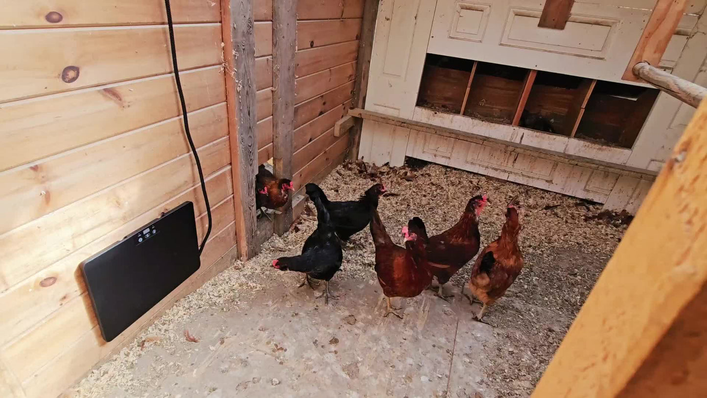 Brooder Heater | Chick Duck Quail 3 Heat Levels Timer Digital Display