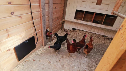 Brooder Heater | Chick Duck Quail 3 Heat Levels Timer Digital Display