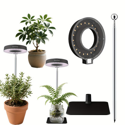 Magnetic Grow Light with 360° Adjustable Head – Full Spectrum Plant Growth Lamp with Auto Timer, 4-Level Dimmer & Adjustable Height for Indoor Herbs, Flowers & Seedlings, 2pc or 6pc