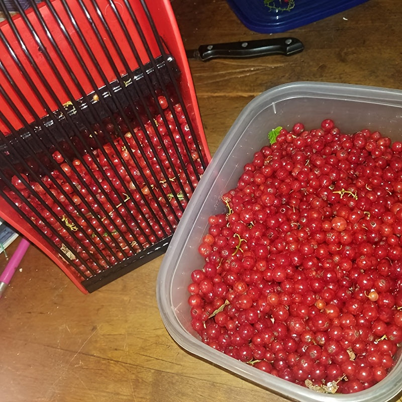 Berry Picker | Blueberry Rake Scoop Lingonberry Huckleberry Garden