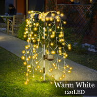 Warm Color