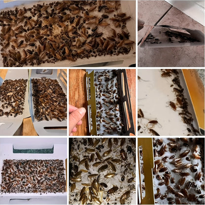Cockroach Glue Traps Indoor – Roach Killer Sticky Trap Motel 10/20 Pack, Non-Toxic Roach Catcher for Kitchen Bathroom Basement