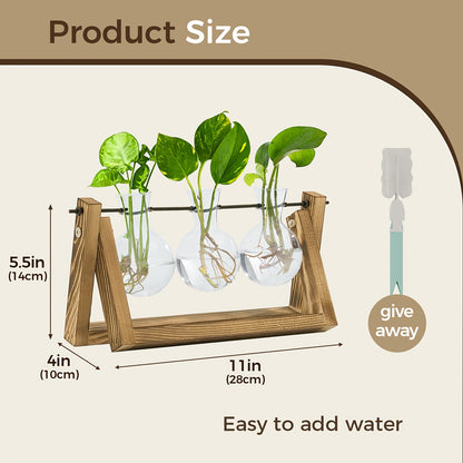 Glass Terrarium Heart Shaped Hydroponic Vase with Wooden Stand - Elegant Plant Propagation Station for Home Decor, Romantic Gift Idea for Women Plant Lovers, Boho Desk Decor
