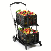 Black with 2 Storage Crates