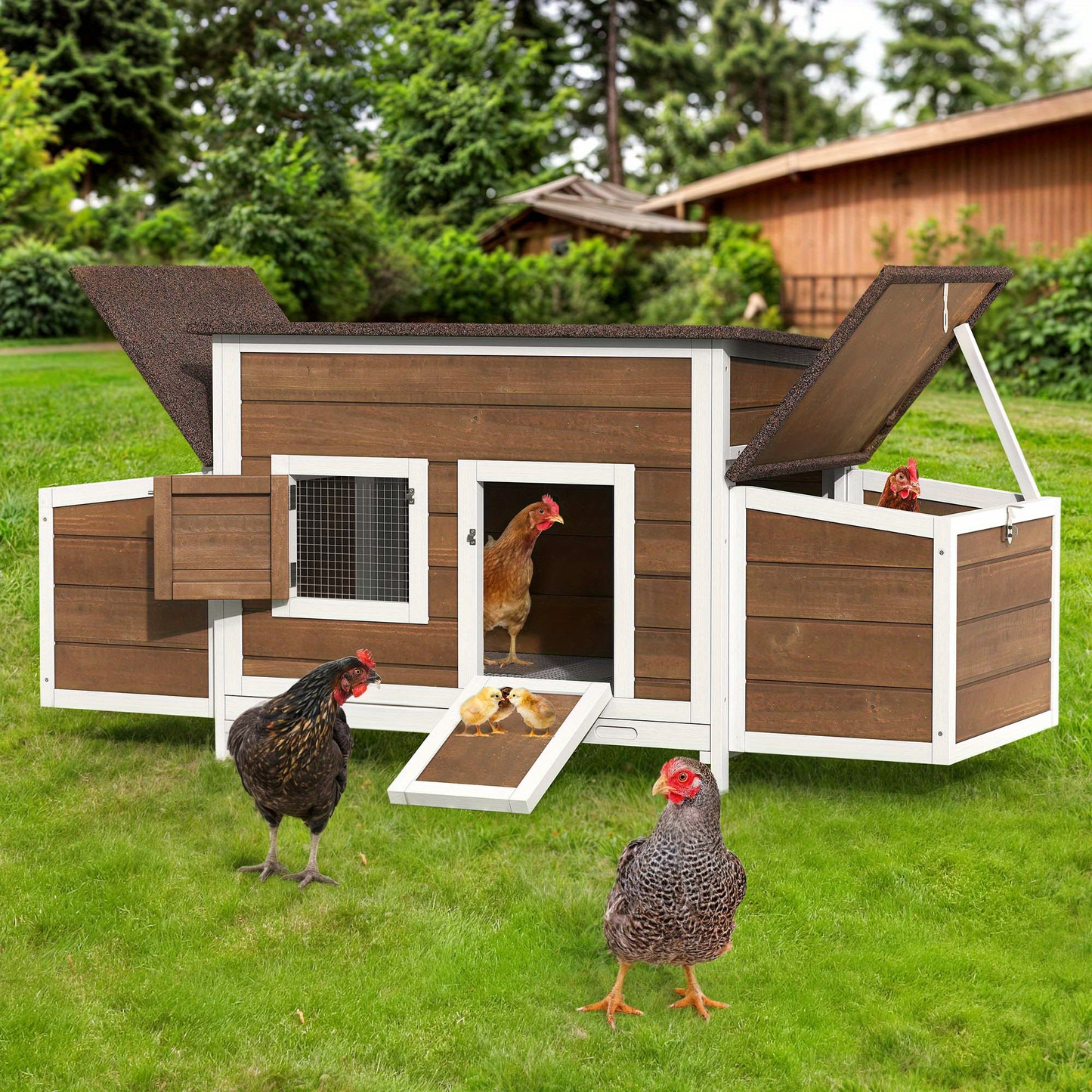 Hen House 67" for 4-6 Chickens with 2 Nesting Boxes | Wooden Chicken Coop with Weatherproof Roof, Removable Tray, Metal Wire Mesh & Ramp – Rabbit Hutch Duck Coop Outdoor