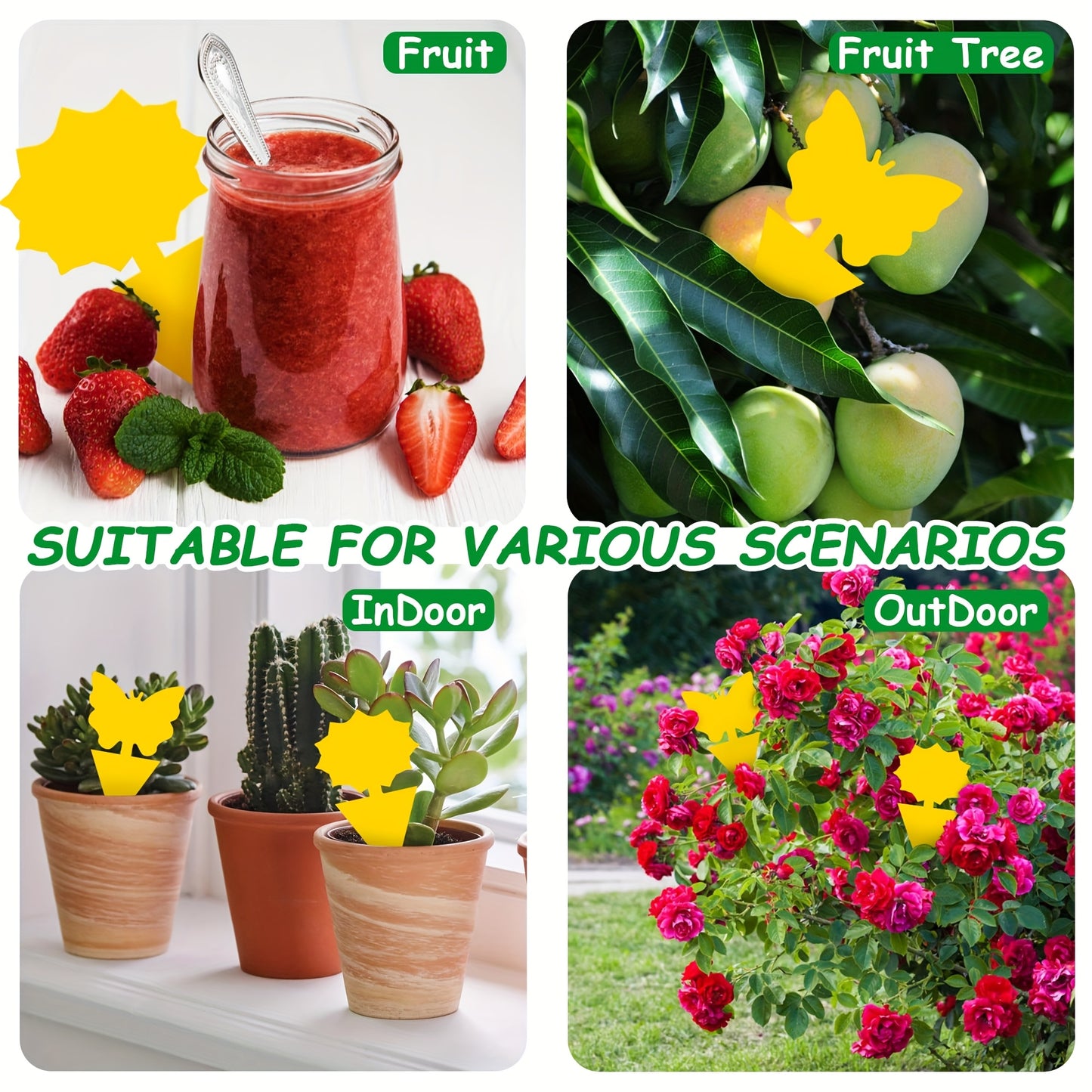 Fungus Gnat Traps & Fruit Fly Sticky Traps for Indoor Outdoor Plants – Non-Toxic Butterfly Gerbera Shape, 40–120 Pack