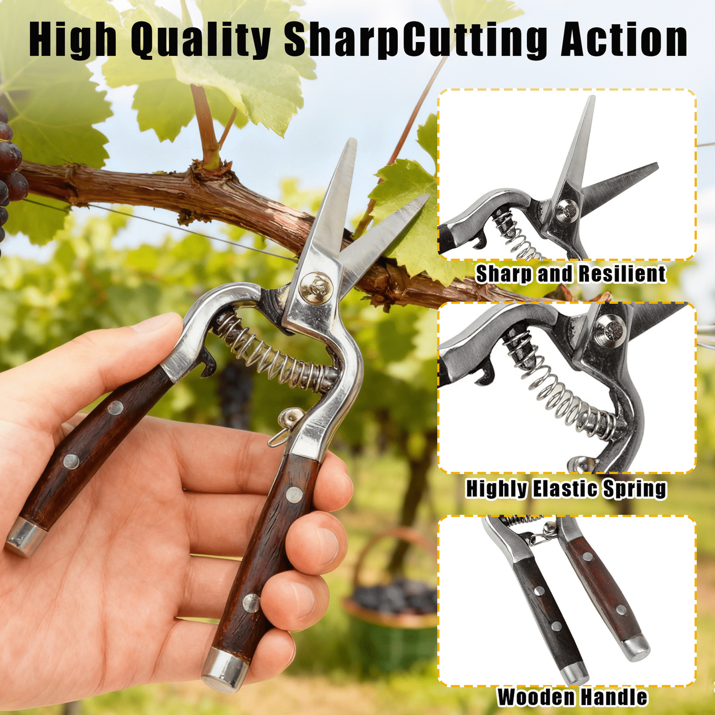 Garden Scissors 2-Pack Pruning Shears Set Curved and Straight Bypass Blades 8-Inch Ultra Sharp Plant Trimming Scissors for Flowers Herbs Bonsai Indoor Outdoor
