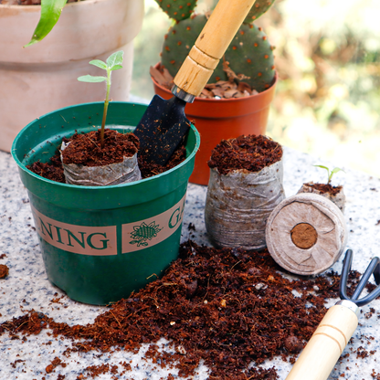 Peat Pellets Seed Starter 35mm Compressed | 50/100pcs Expandable Coir Discs for Seedlings Vegetables Flowers Herbs | Indoor Outdoor Seed Starting